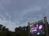 09-brutal-assault-swans