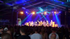 10-brutal-assault-swans